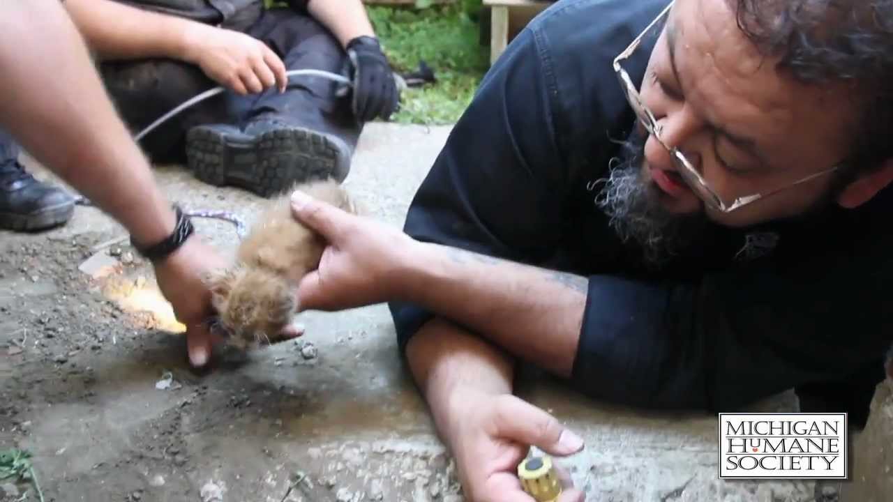 youtube placeholder image