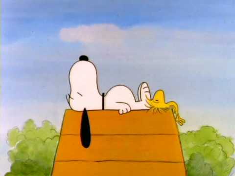 youtube placeholder image